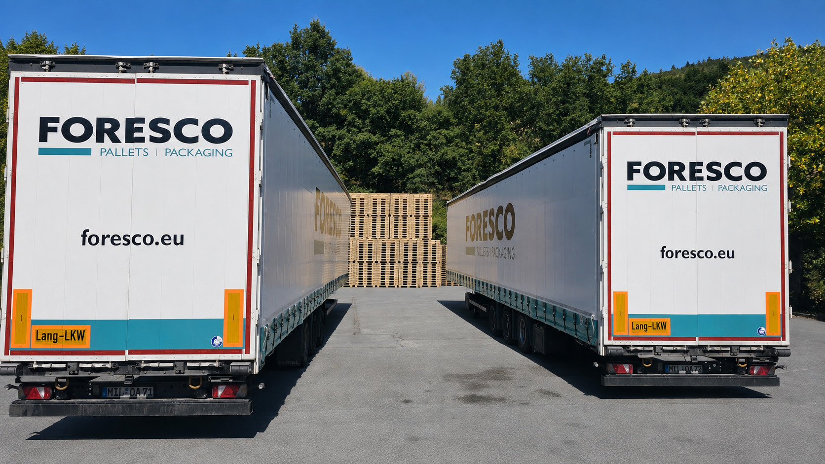 foresco miltenberg 02