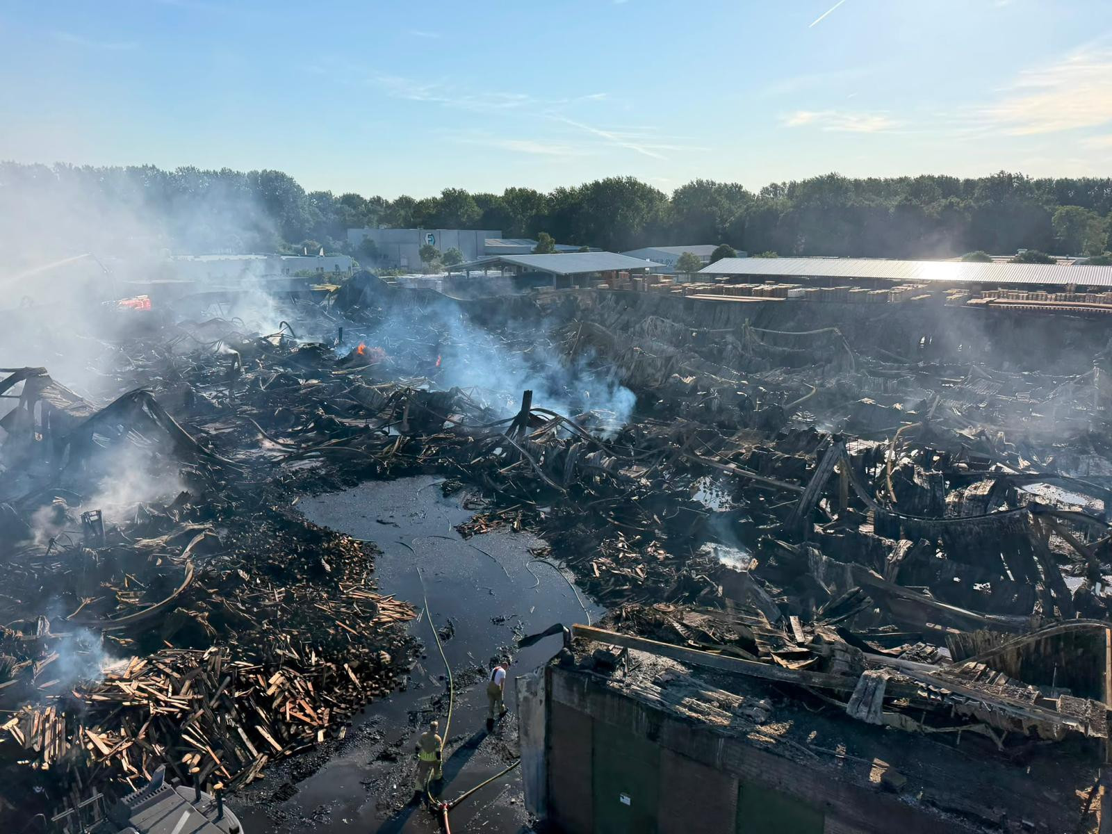update brand foresco lelystad 03